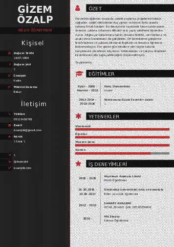 cv indir